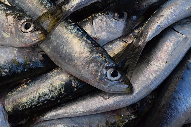 omega-3-sardinas