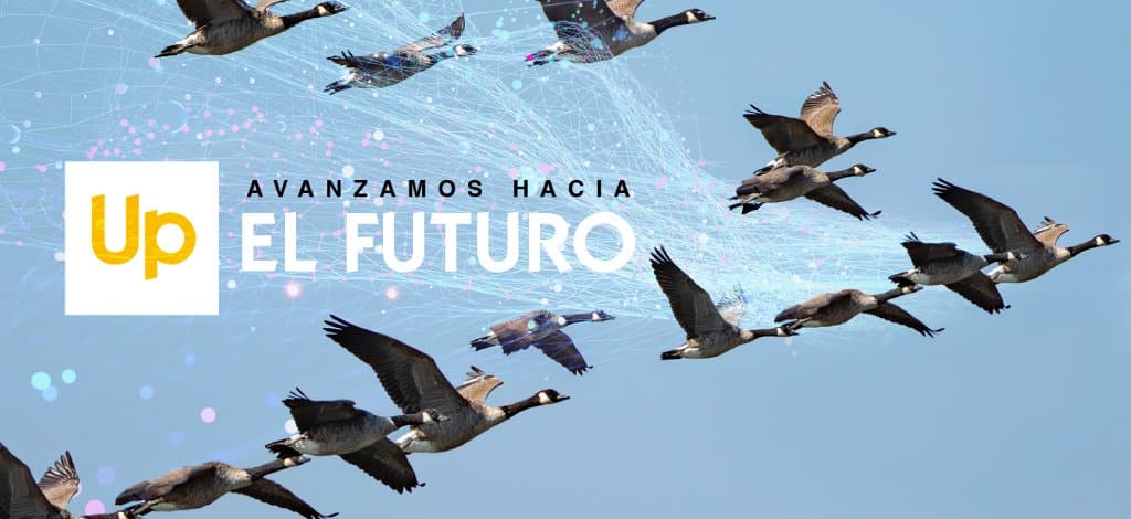 PLENARIA 2024: Up Spain avanza hacia el futuro