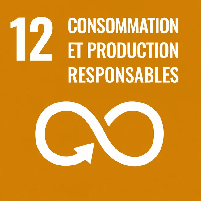 12 producción y consumo responsable