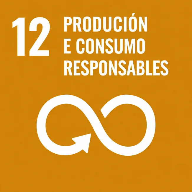 12 producción y consumo responsable