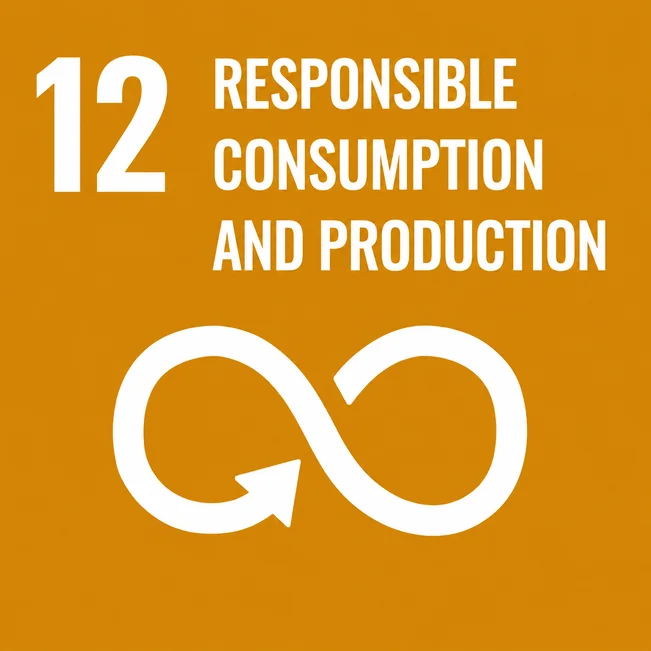 12 producción y consumo responsable