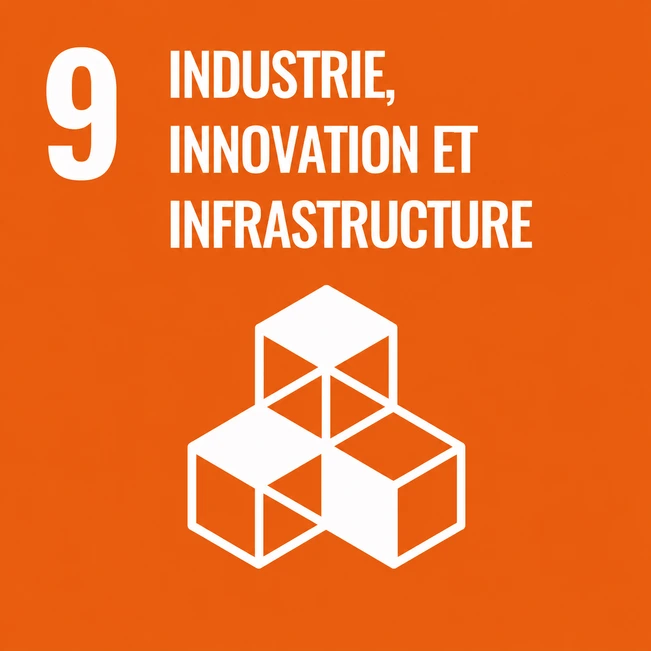 9 industria, innovación e infraestrutura